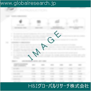 グローバルリサーチ調査資料のイメージ